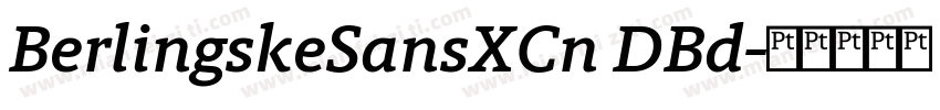BerlingskeSansXCn DBd字体转换